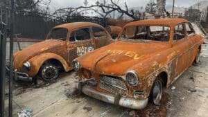 The billionaire Mowbray brothers of New Zealand have been revealed as the mystery investors behind the purchase of $65 million worth of Malibu beachfront lots devastated by California’s wildfires, with plans to redevelop the coastline using their technology company, Zuru Tech.