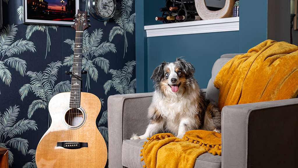 Britain's buy-to-let landlords are being forced to rethink their pet policies after the long-awaited Renters' Rights Act came into force on 1 May, handing tenants the legal right to request a furry companion in their rented home, and the right to challenge any refusal.