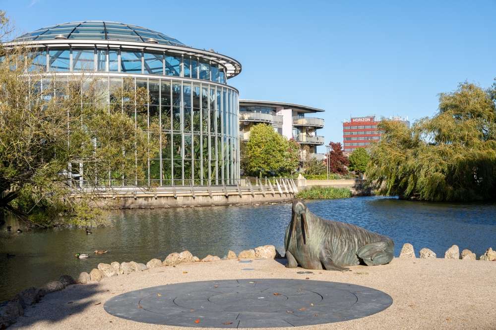 Sunderland property investment guide: 9.3 per cent average yields, around £85,000 entry prices, micro-markets decoded, licensing and EPC risks.